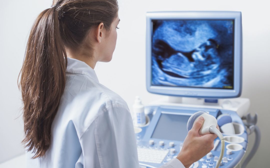 Echocardiography Technology